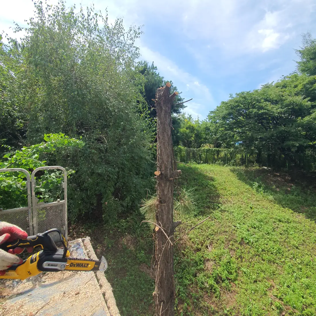 나무제거 현장 — 시공 완료 후 현장