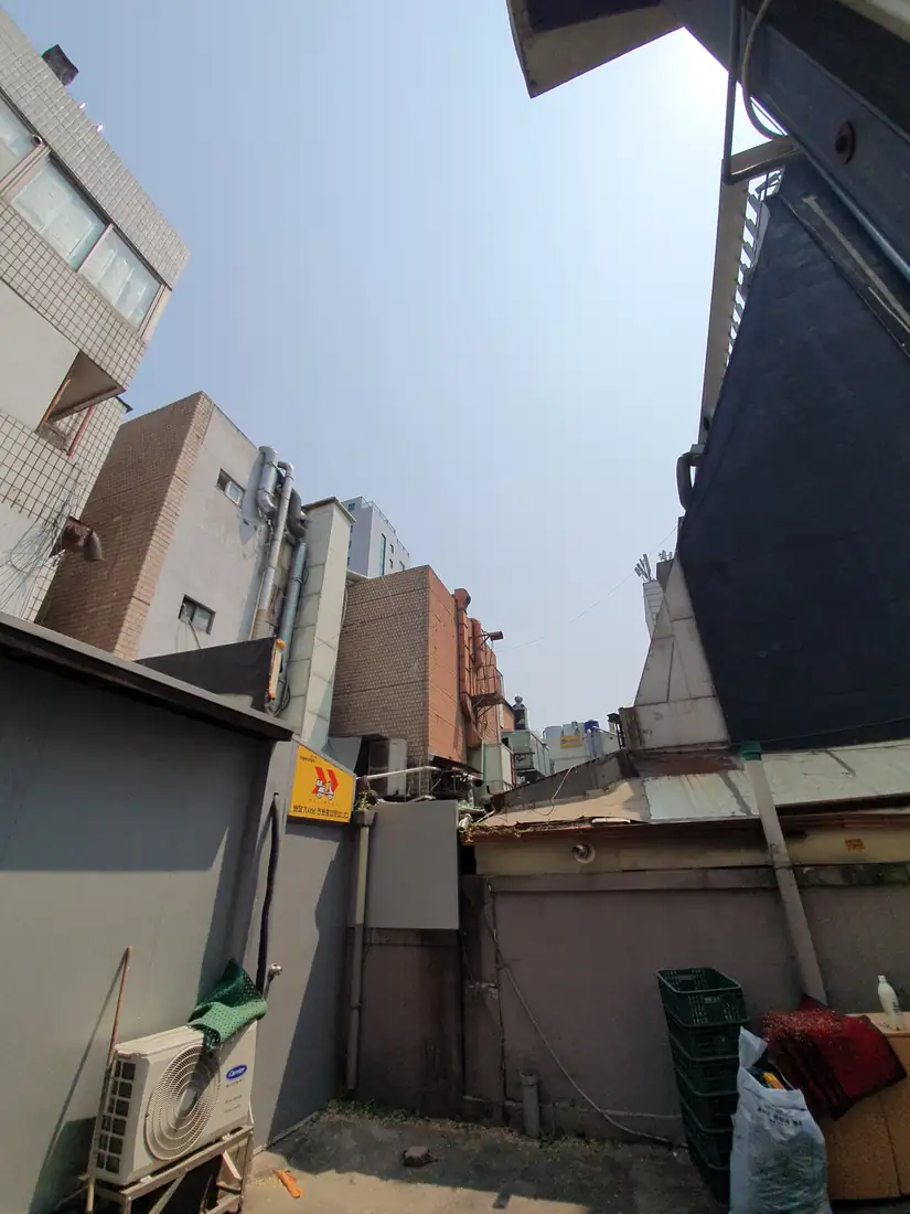용인 아파트 가지치기 대표 시공 사진 — 벌목 현장