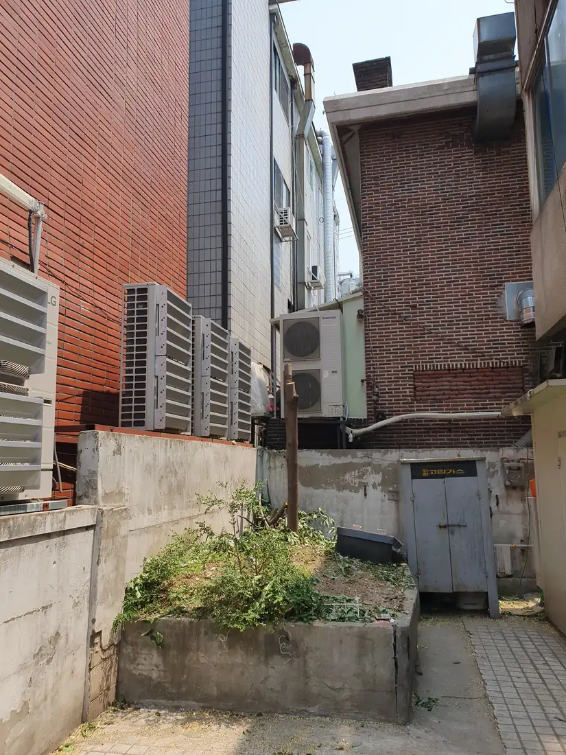 강남 고사목 제거 — 시공 완료 후 현장