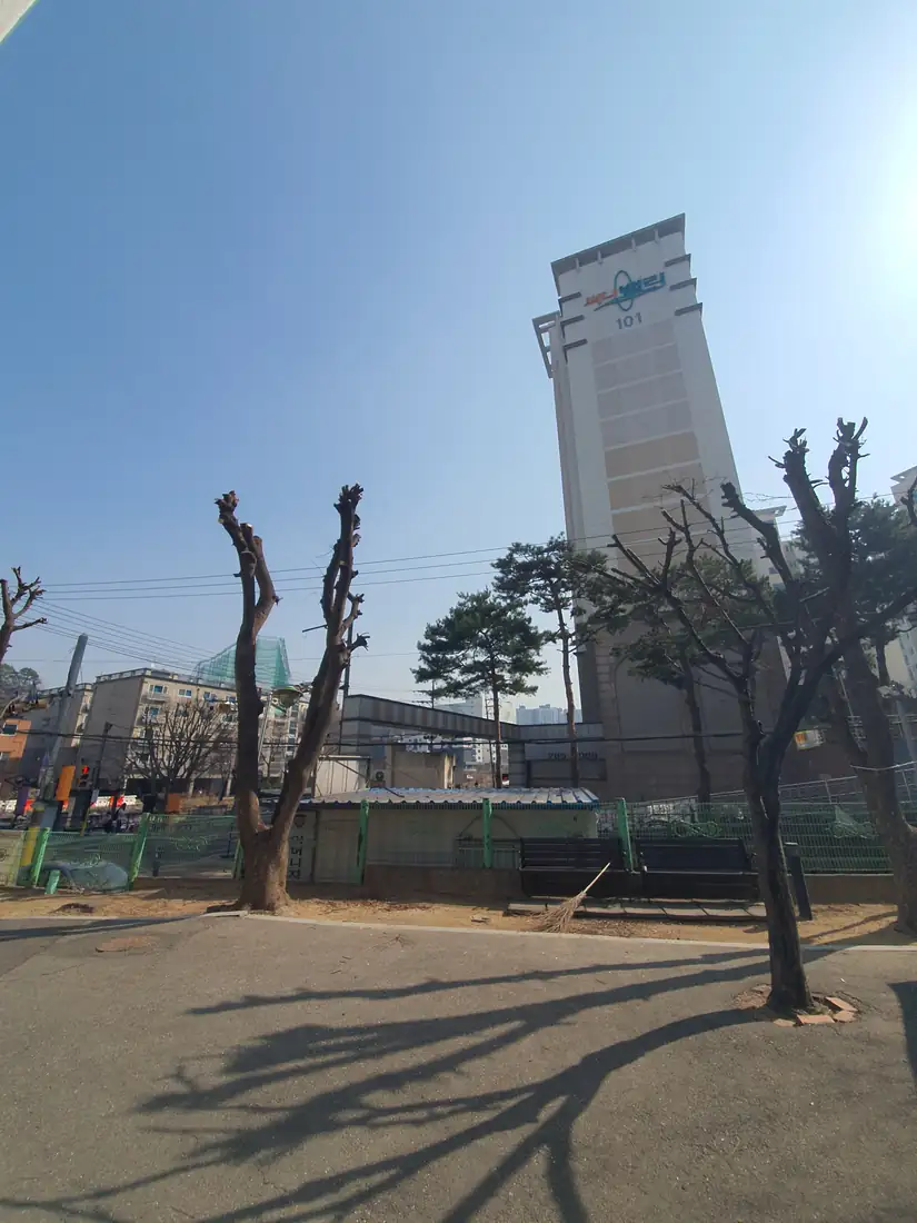 분당 나무제거 — 시공 완료 후 현장