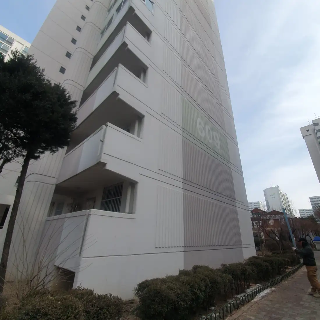 분당 고사목 제거 — 시공 완료 후 현장