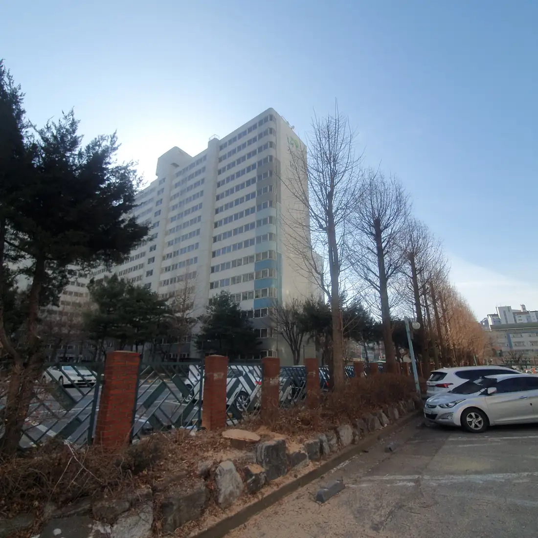 일산 아파트 가지치기 대표 시공 사진 — 가지치기 현장