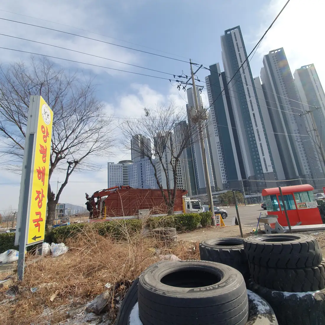 일산 나무제거 — 시공 완료 후 현장