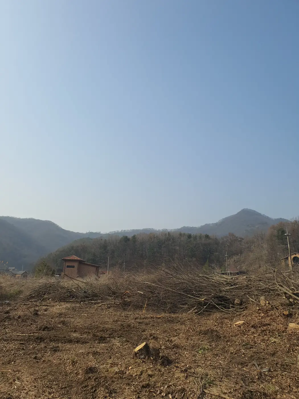분당 아파트 가지치기 대표 이미지 — 으뜸종합건설