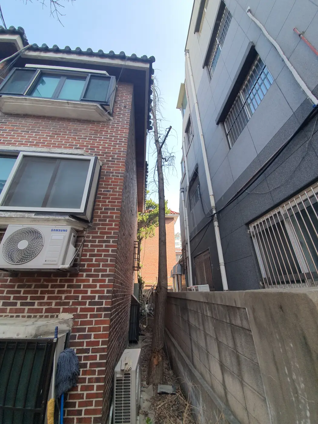 일산 아파트 가지치기 대표 이미지 — 으뜸종합건설
